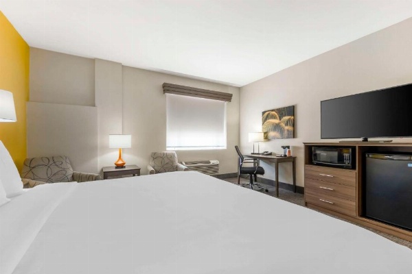 Comfort Inn image 30