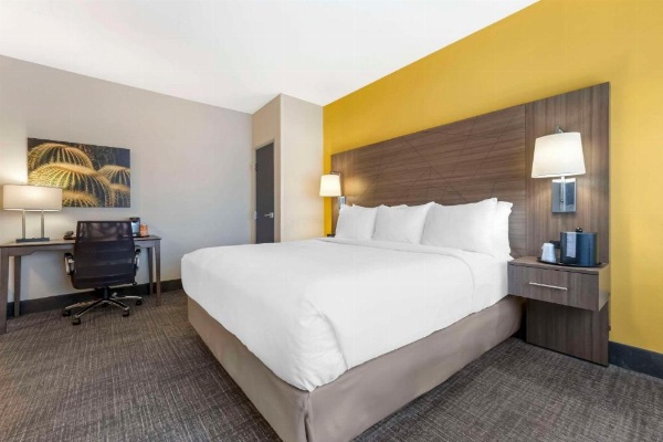 Comfort Inn image 9